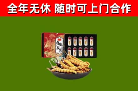 濮阳烟酒回收冬虫夏草礼盒.jpg